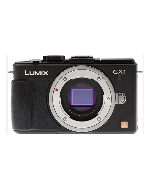 Panasonic DMC GX1 Hus